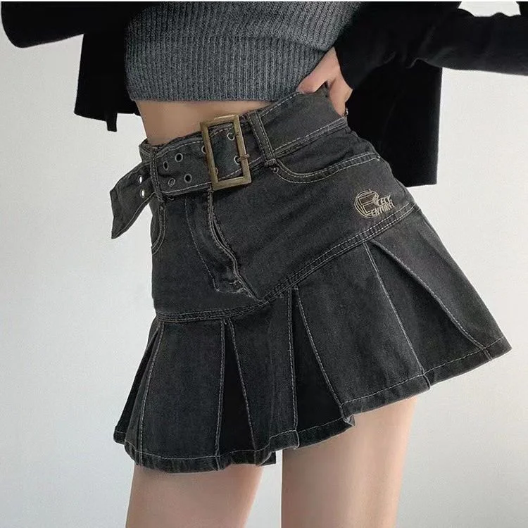 Sexy Embroidery High Waist Pleated Mini Skirt