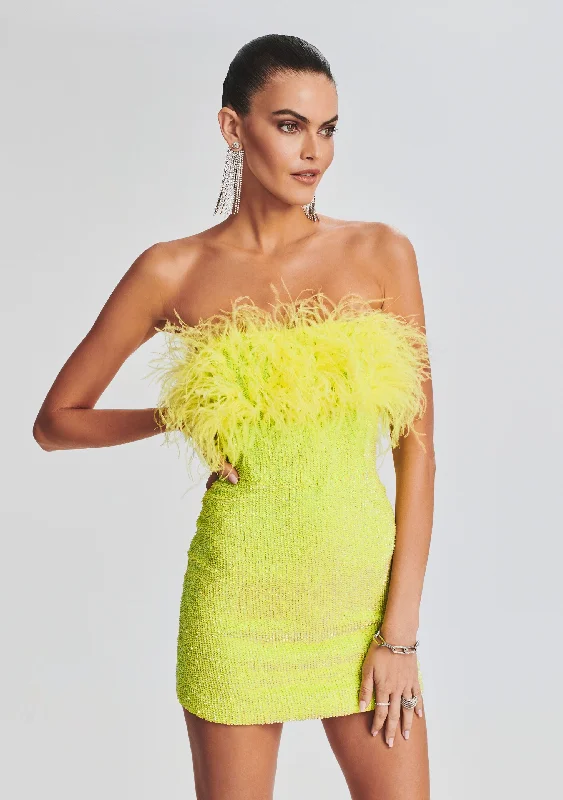 Torin Sequin Feather Dress